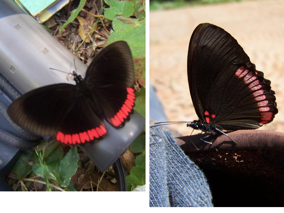 FIGURE 3a FIGURE 3a